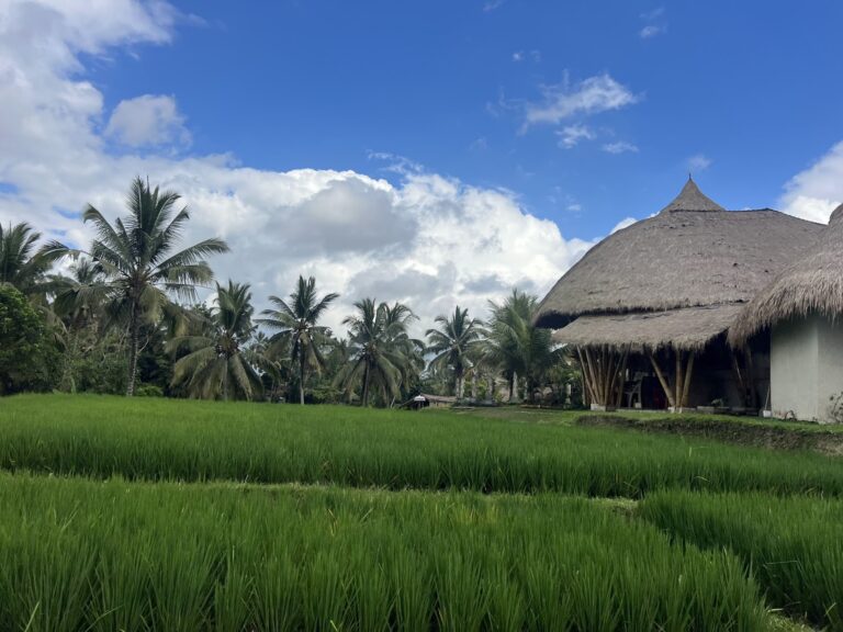 The Ultimate Beginner’s Guide to Indonesia Travel