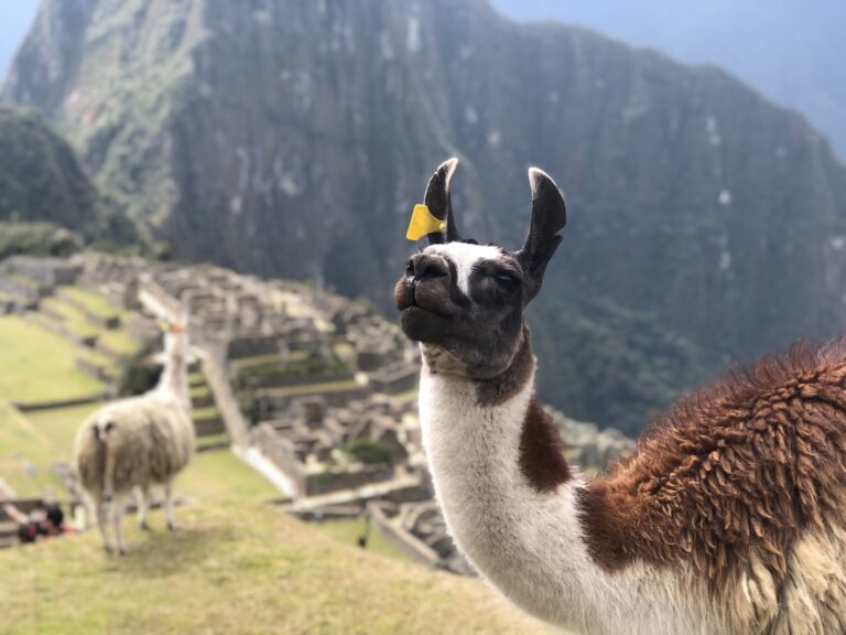 The Ultimate Guide to Peru Travel