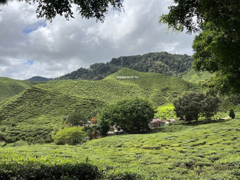 The Ultimate Guide to Malaysia Travel