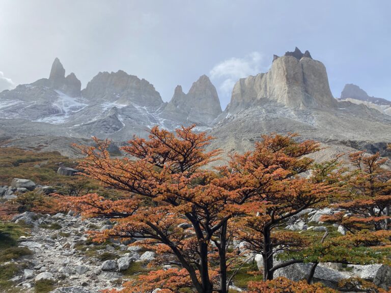 The Ultimate Guide to Chile Travel